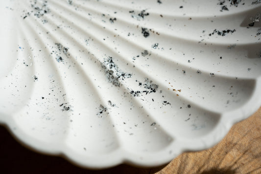 Vide poche Coquillage feuilles Argenté